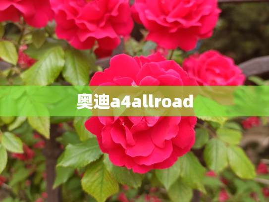 奥迪a4allroad