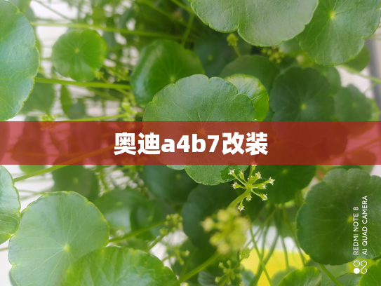 奥迪a4b7改装