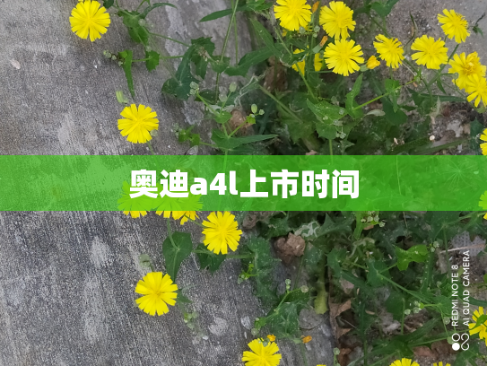 奥迪a4l上市时间