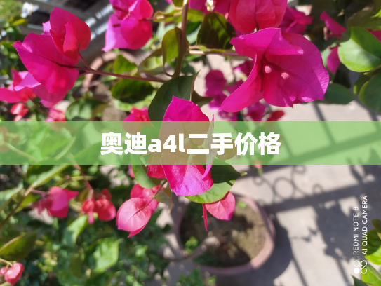 奥迪a4l二手价格