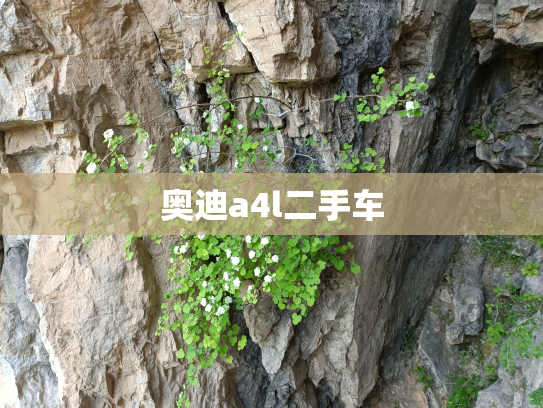 奥迪a4l二手车