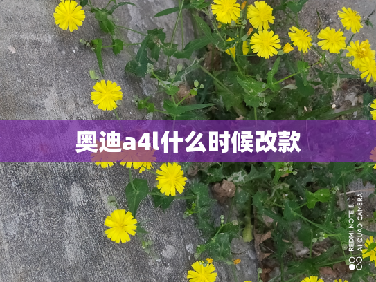 奥迪a4l什么时候改款