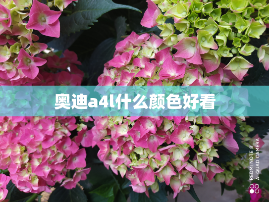 奥迪a4l什么颜色好看
