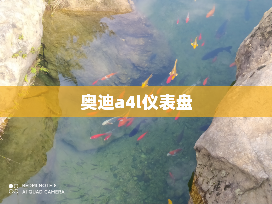 奥迪a4l仪表盘