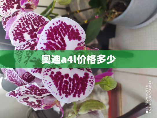 奥迪a4l价格多少