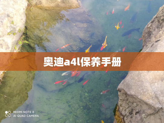 奥迪a4l保养手册