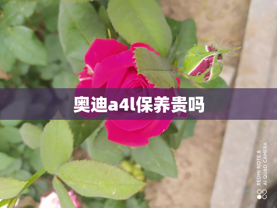 奥迪a4l保养贵吗