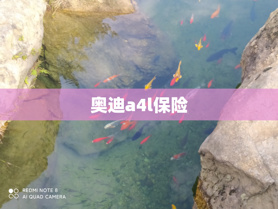 奥迪a4l保险