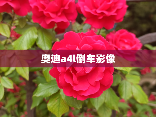 奥迪a4l倒车影像