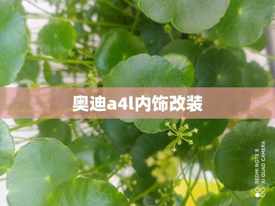 奥迪a4l内饰改装