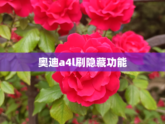 奥迪a4l刷隐藏功能