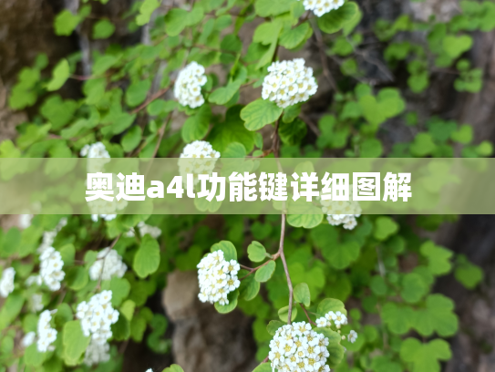 奥迪a4l功能键详细图解