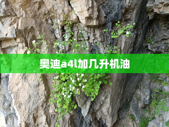 奥迪a4l加几升机油