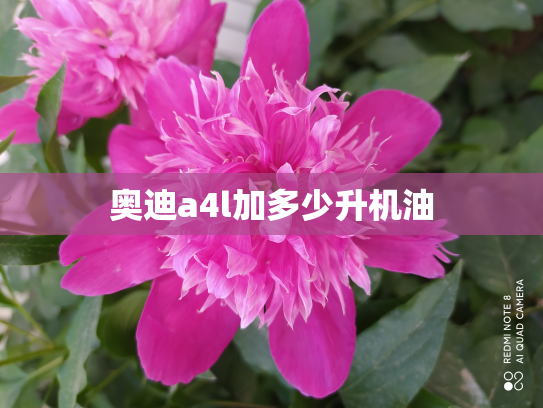 奥迪a4l加多少升机油