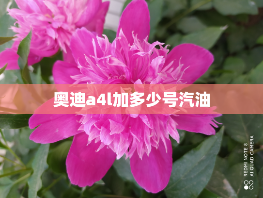 奥迪a4l加多少号汽油