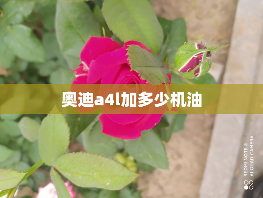 奥迪a4l加多少机油