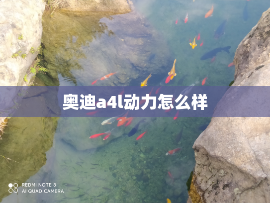 奥迪a4l动力怎么样