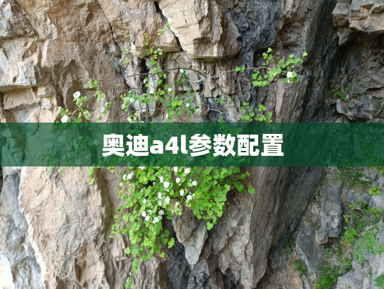 奥迪a4l参数配置