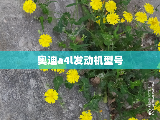 奥迪a4l发动机型号