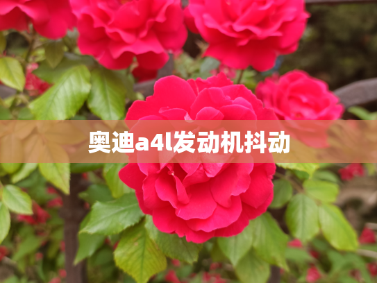 奥迪a4l发动机抖动
