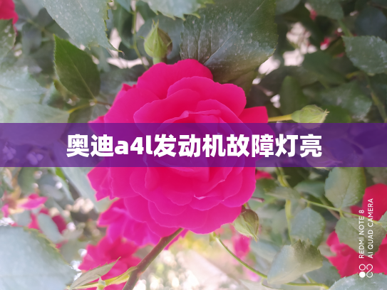 奥迪a4l发动机故障灯亮