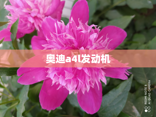 奥迪a4l发动机