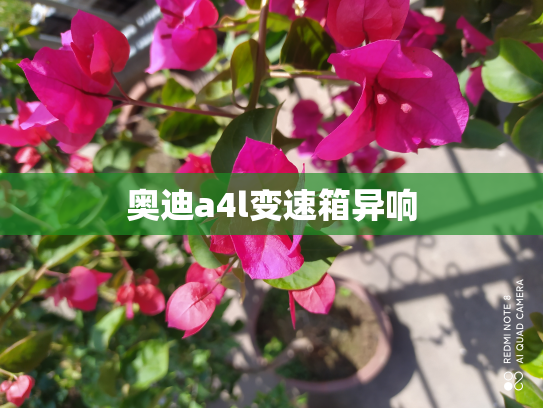 奥迪a4l变速箱异响