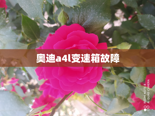 奥迪a4l变速箱故障