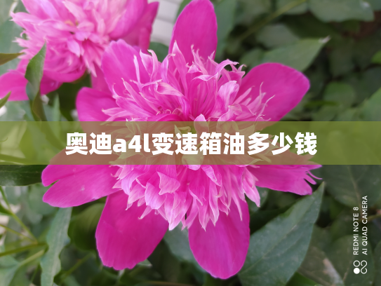 奥迪a4l变速箱油多少钱