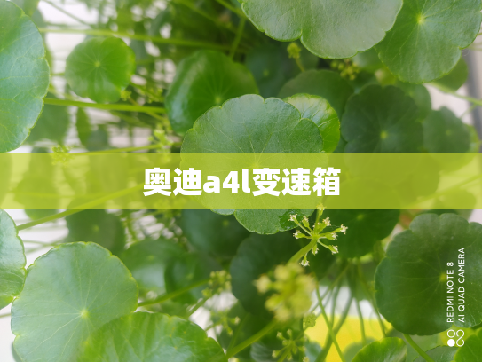 奥迪a4l变速箱
