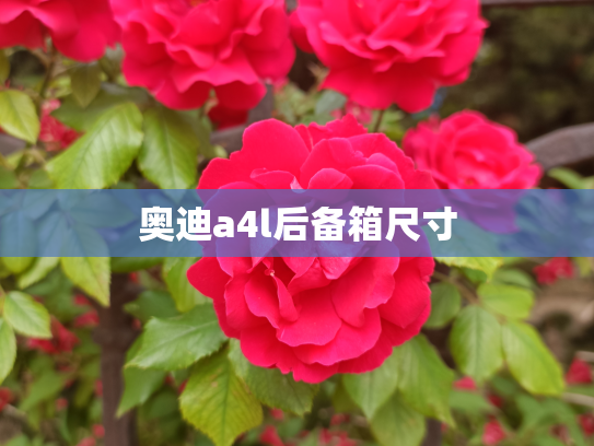 奥迪a4l后备箱尺寸