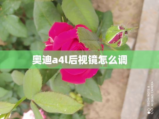 奥迪a4l后视镜怎么调