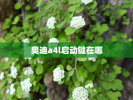 奥迪a4l启动键在哪