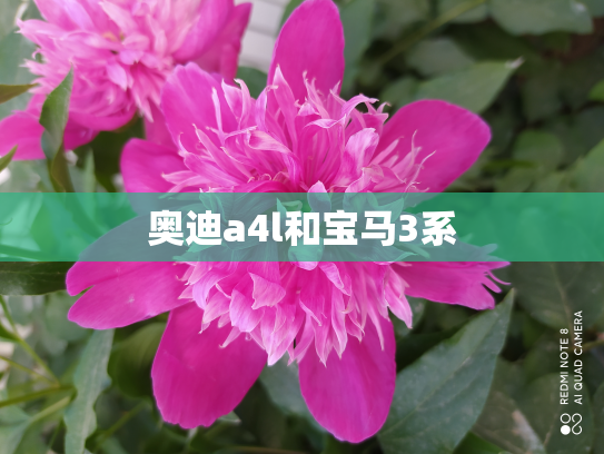 奥迪a4l和宝马3系
