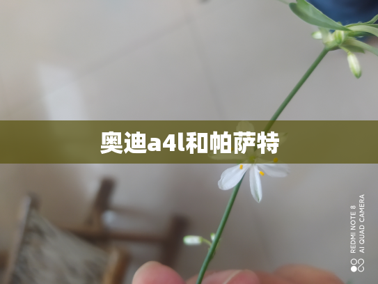 奥迪a4l和帕萨特