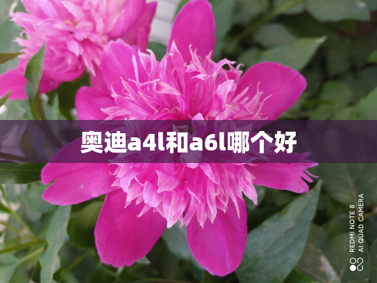 奥迪a4l和a6l哪个好