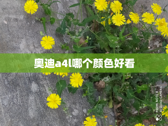 奥迪a4l哪个颜色好看