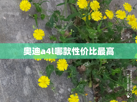 奥迪a4l哪款性价比最高