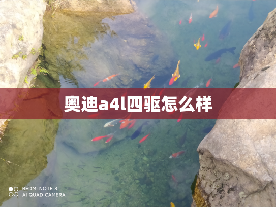奥迪a4l四驱怎么样