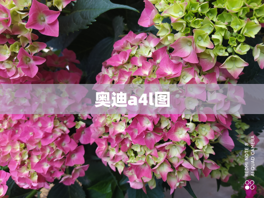 奥迪a4l图