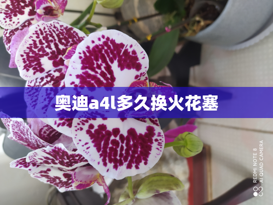 奥迪a4l多久换火花塞
