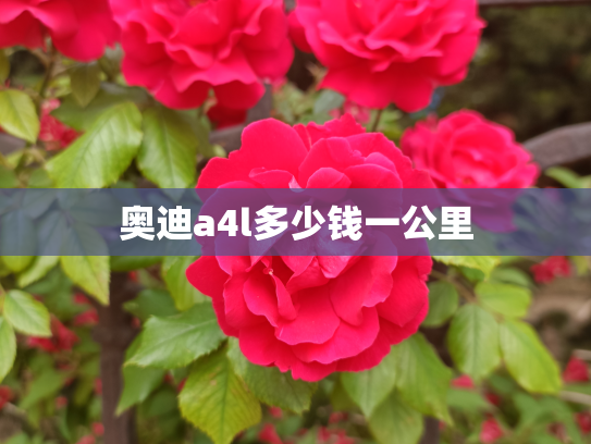 奥迪a4l多少钱一公里