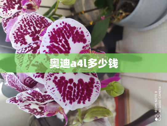 奥迪a4l多少钱