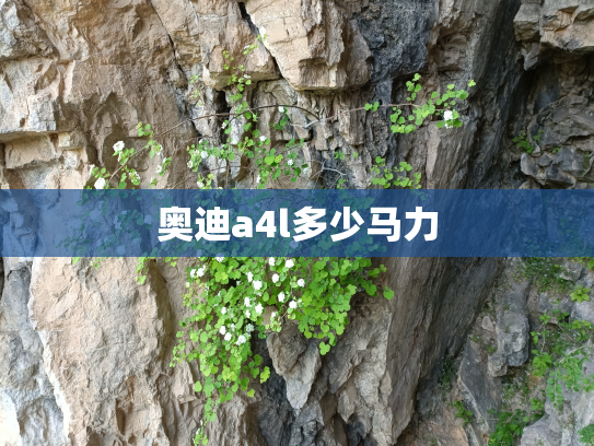 奥迪a4l多少马力