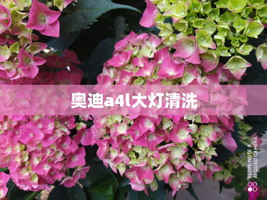 奥迪a4l大灯清洗