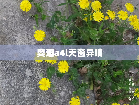 奥迪a4l天窗异响