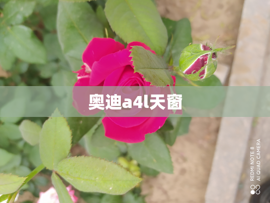 奥迪a4l天窗