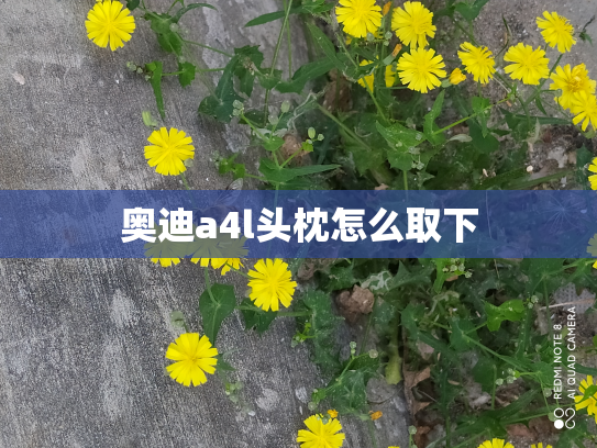 奥迪a4l头枕怎么取下