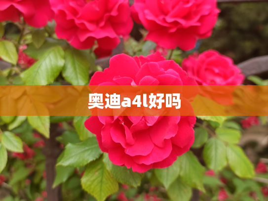奥迪a4l好吗