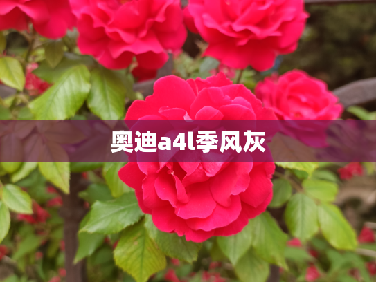 奥迪a4l季风灰